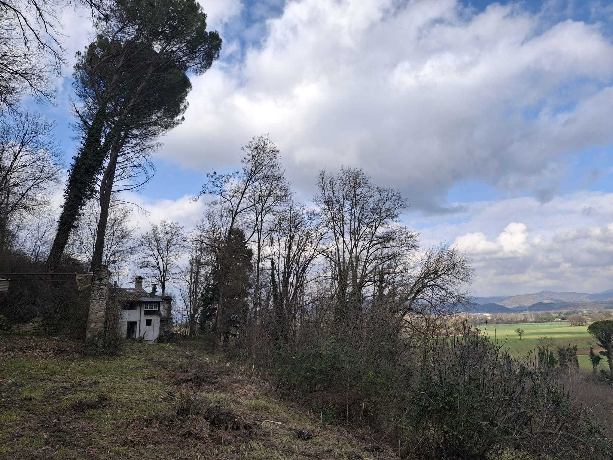  - foto 49