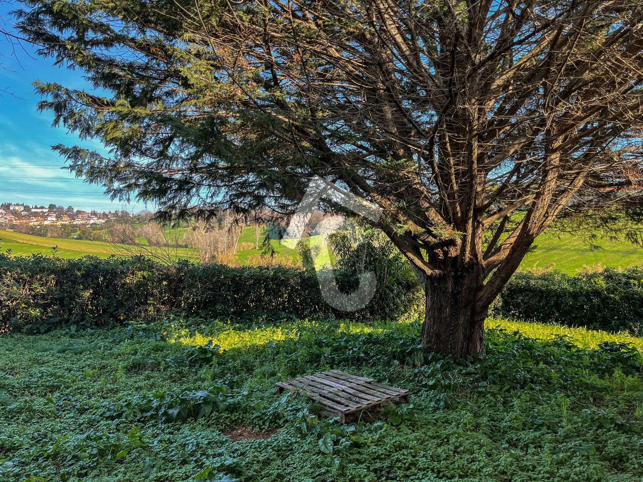  - foto 40