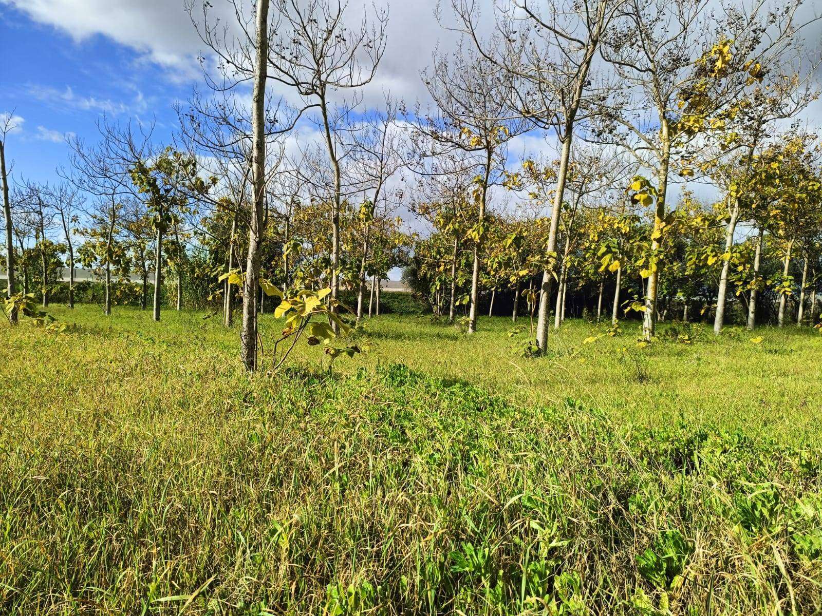 Casa indipendente Località Nuracesus, Nuraminis