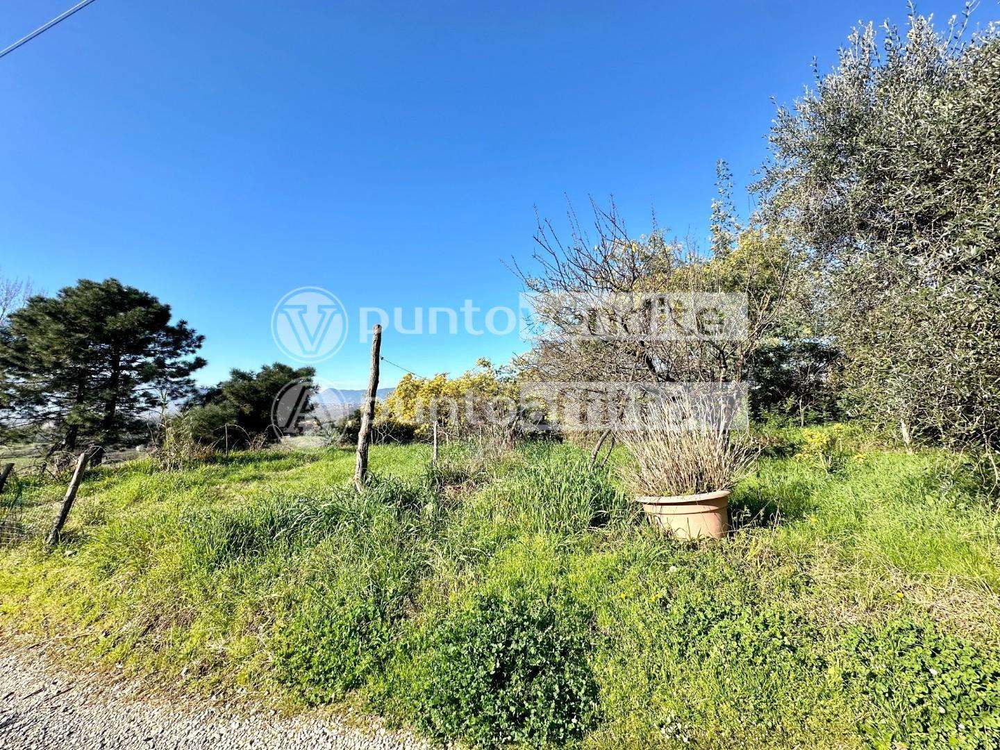 - foto 8