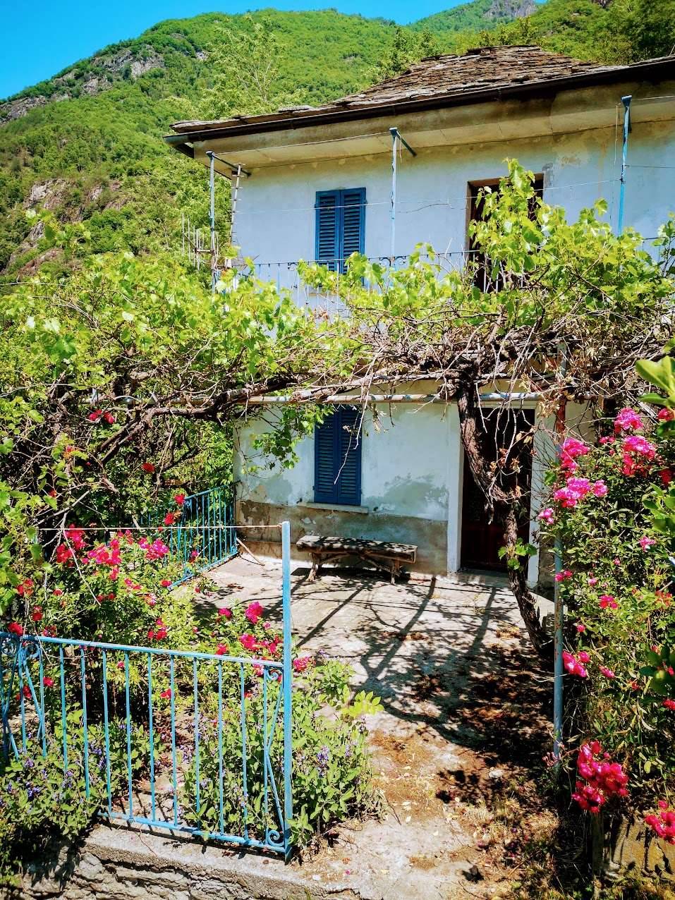 immagine annuncio 2 di 10