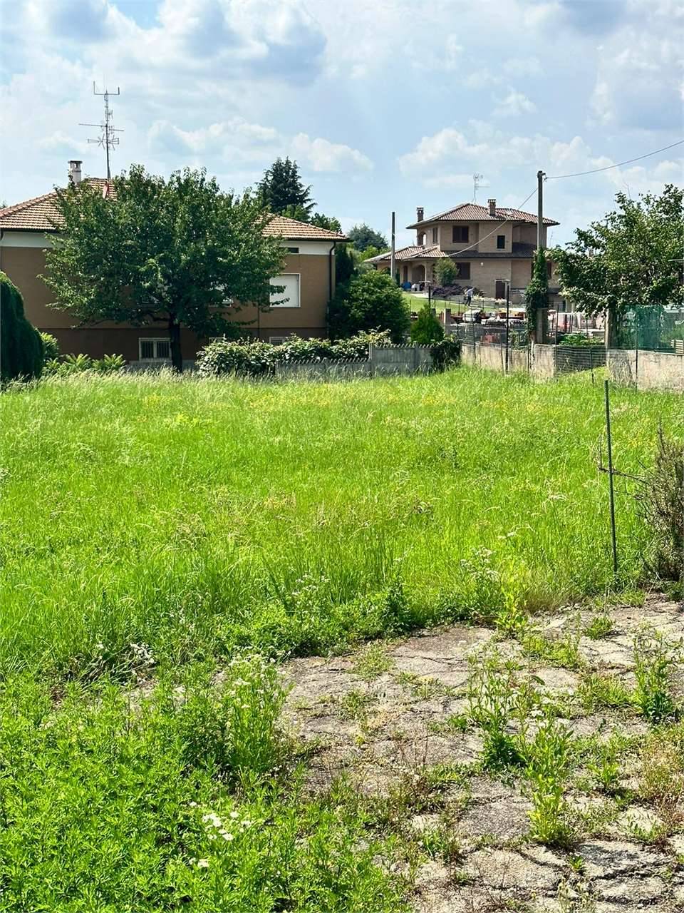 immagine annuncio 2 di 7