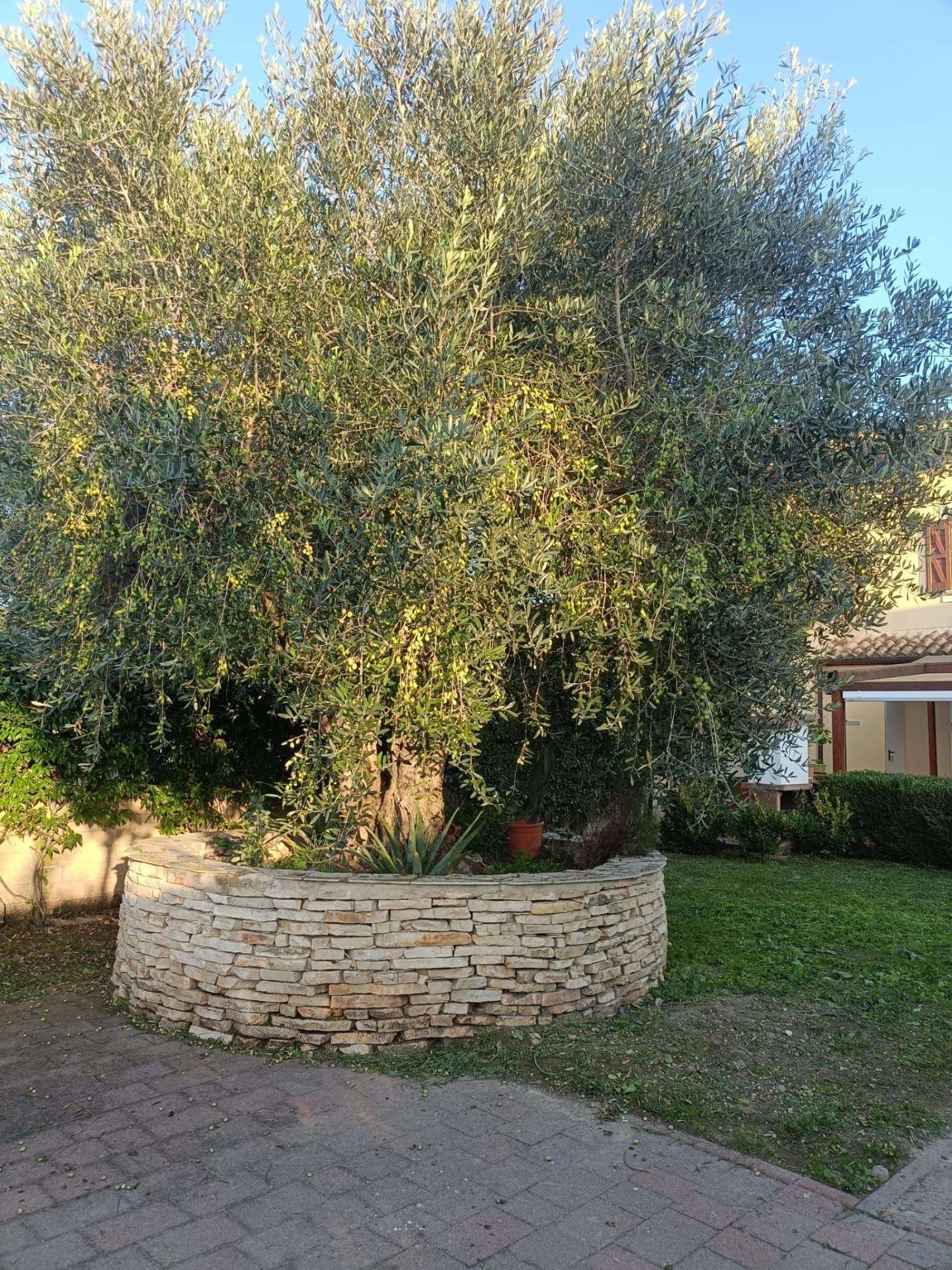  - foto 34