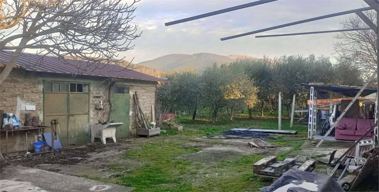 immagine annuncio 3 di 9
