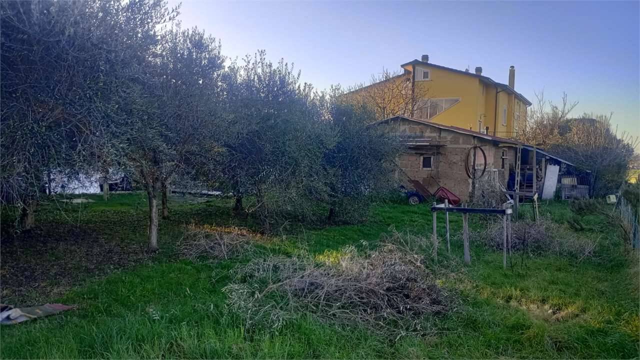 immagine annuncio 6 di 9