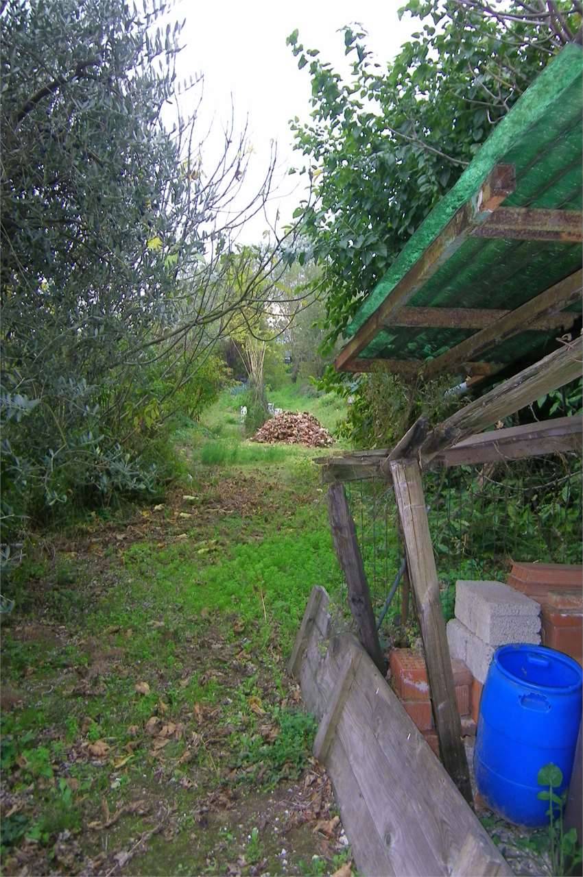 immagine annuncio 3 di 6