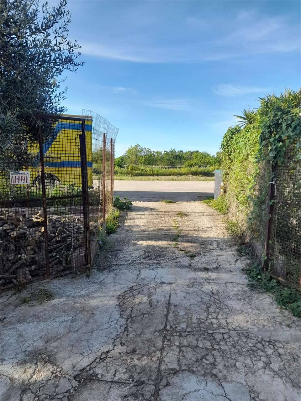 immagine annuncio 3 di 9
