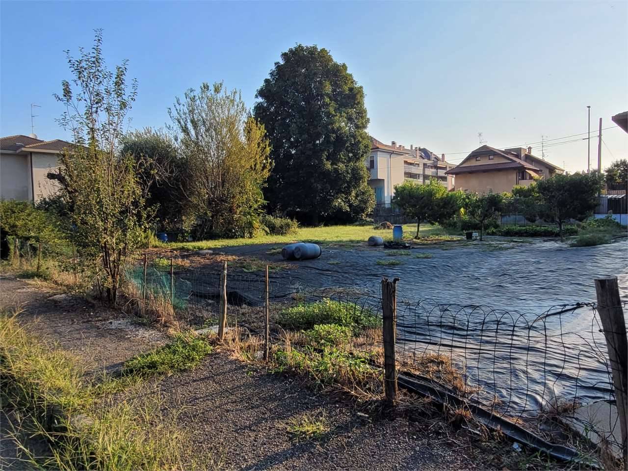 immagine annuncio 4 di 10