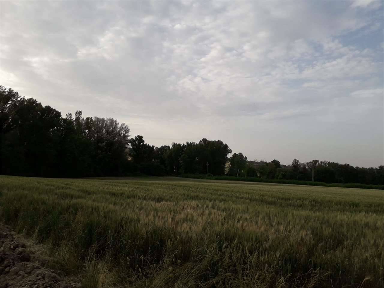 immagine annuncio 5 di 6
