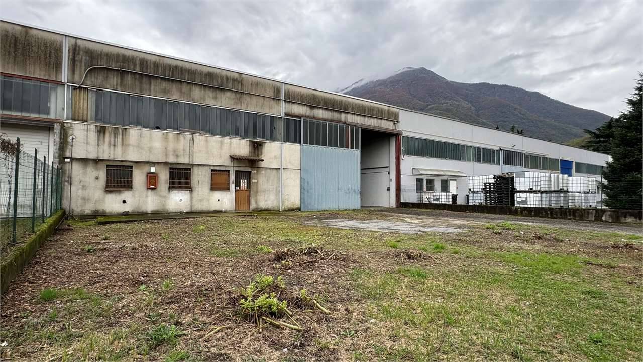 immagine annuncio 2 di 10