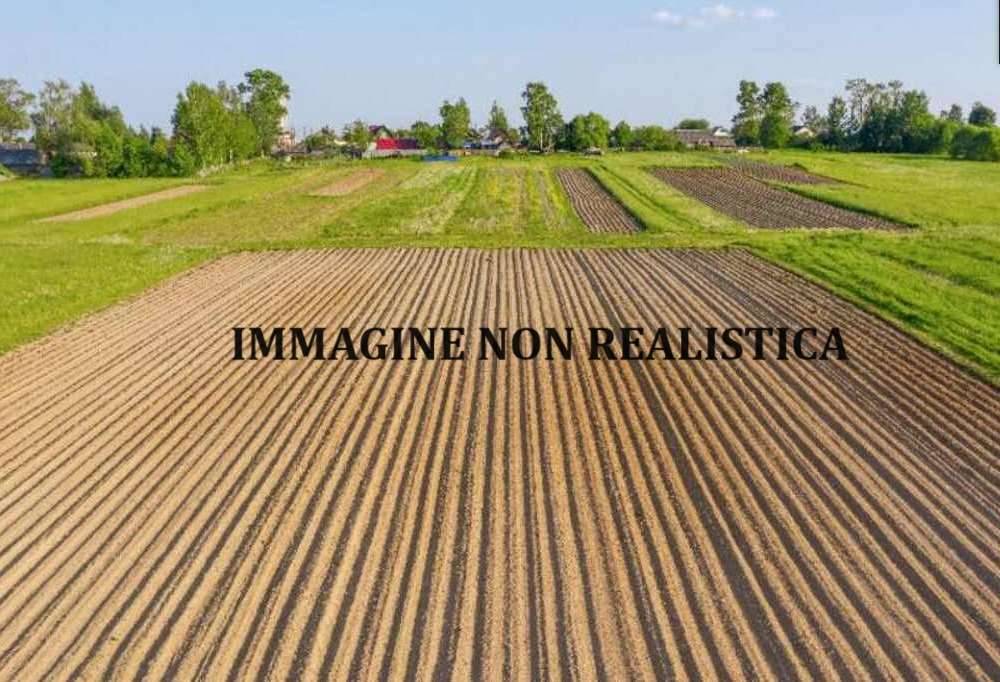 immagine annuncio 1 di 2
