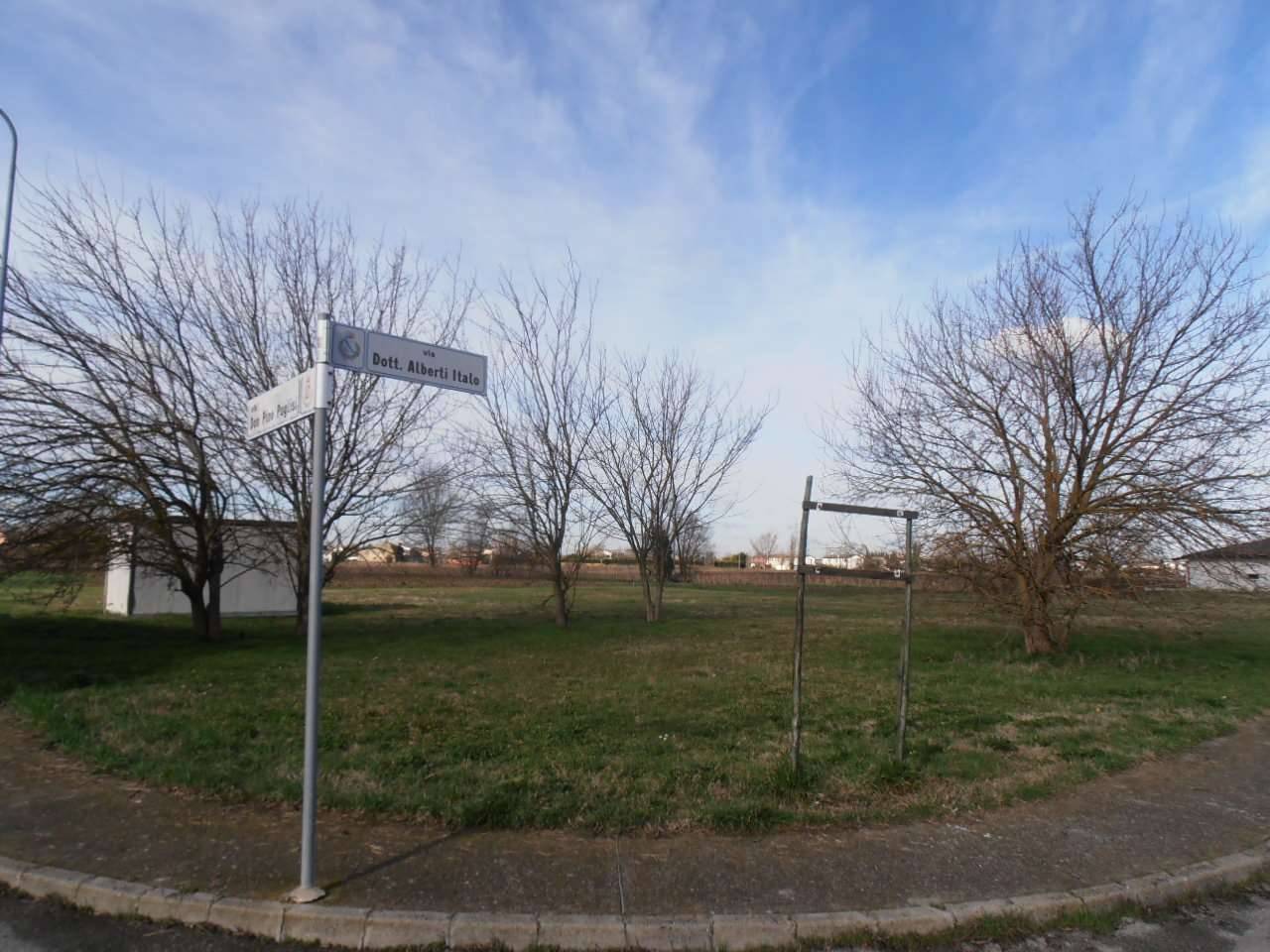 immagine annuncio 4 di 6