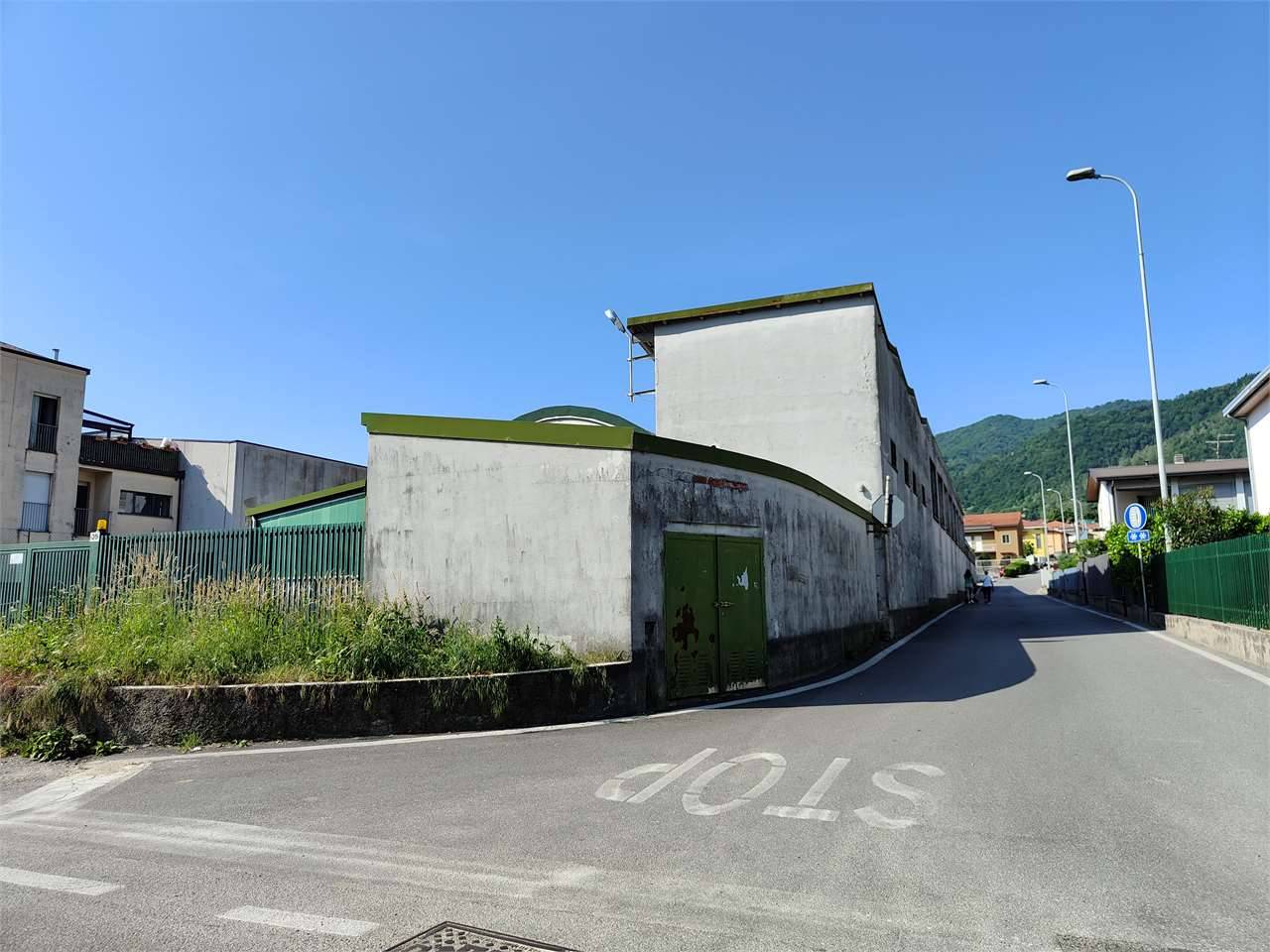 immagine annuncio 5 di 8