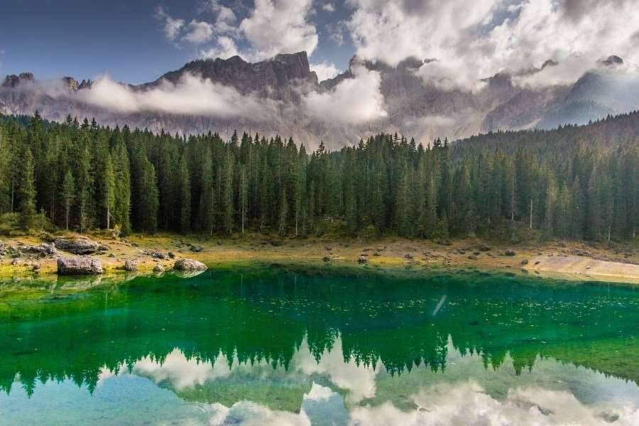 immagine annuncio 8 di 10