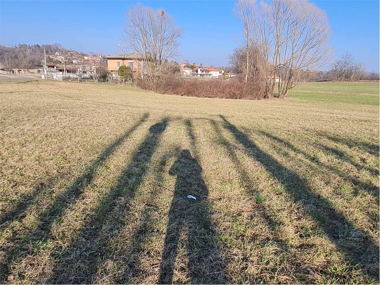immagine annuncio 4 di 7