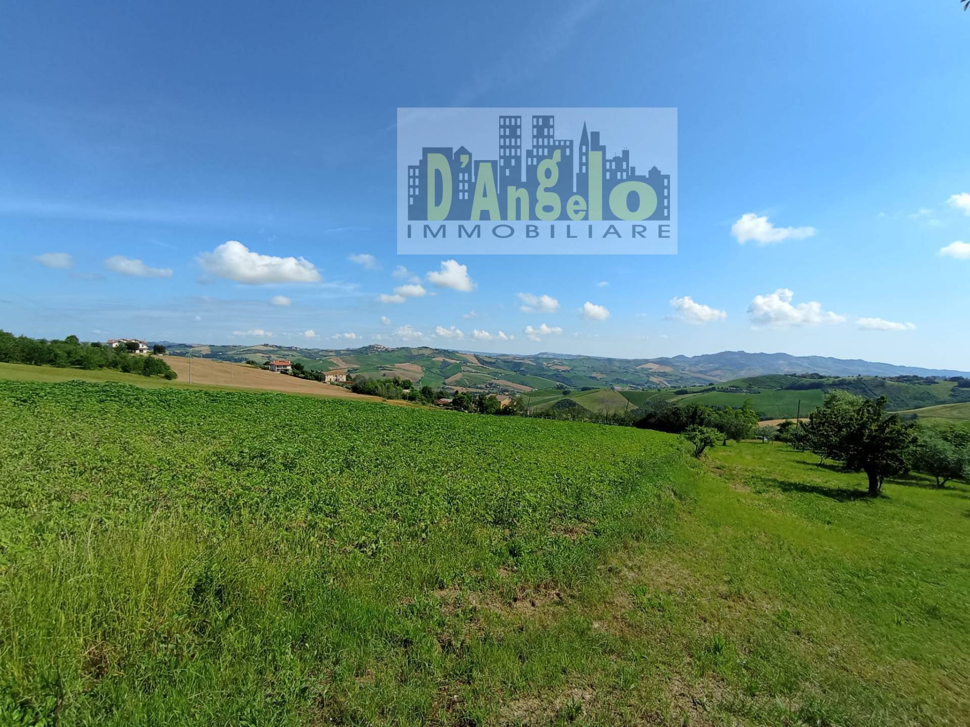 Azienda agricola Strada Provinciale 17, Offida