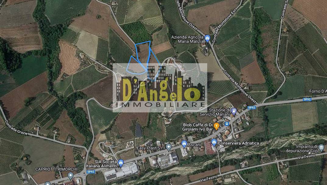 immagine annuncio 1 di 2