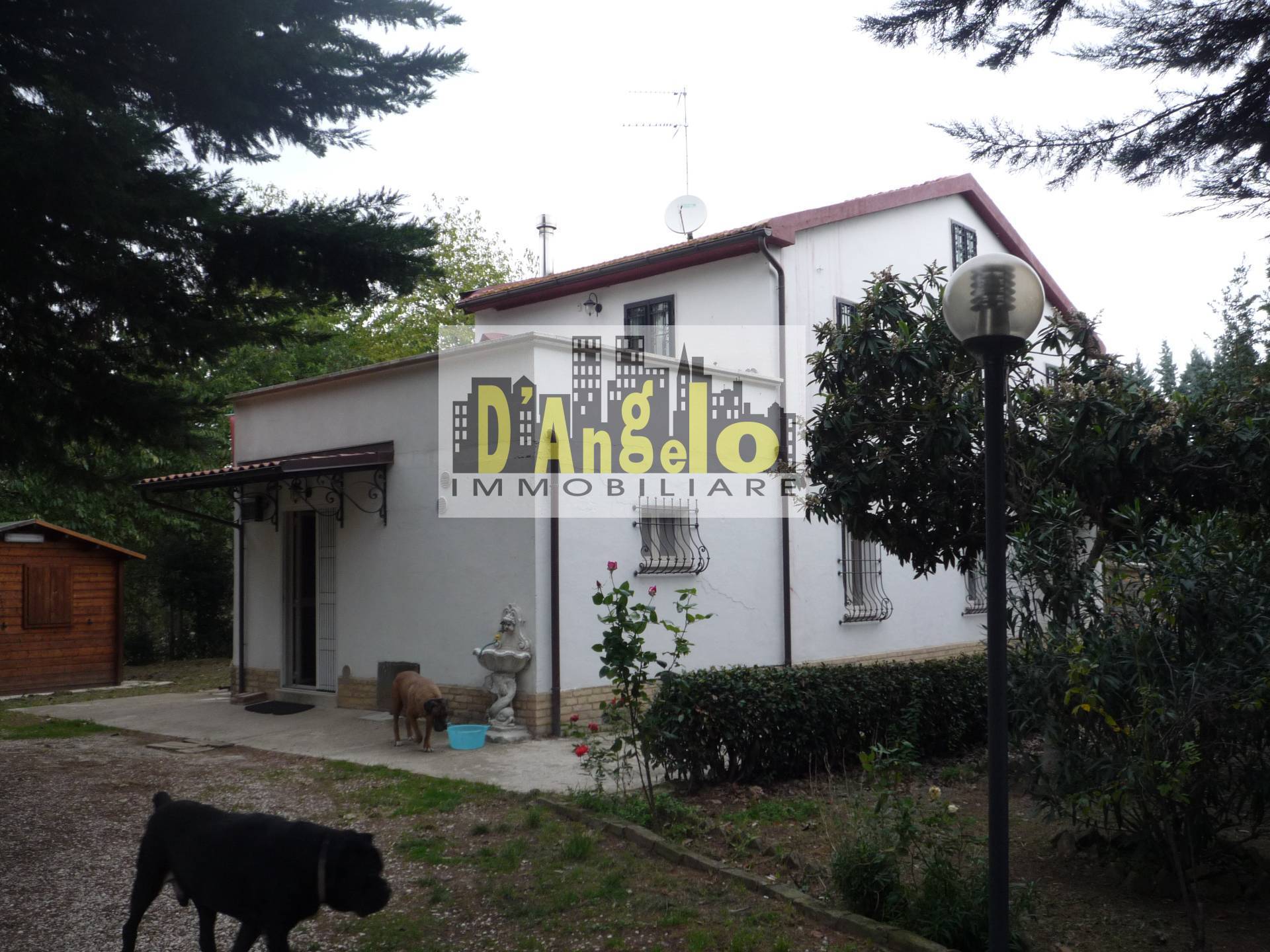 immagine annuncio 5 di 13