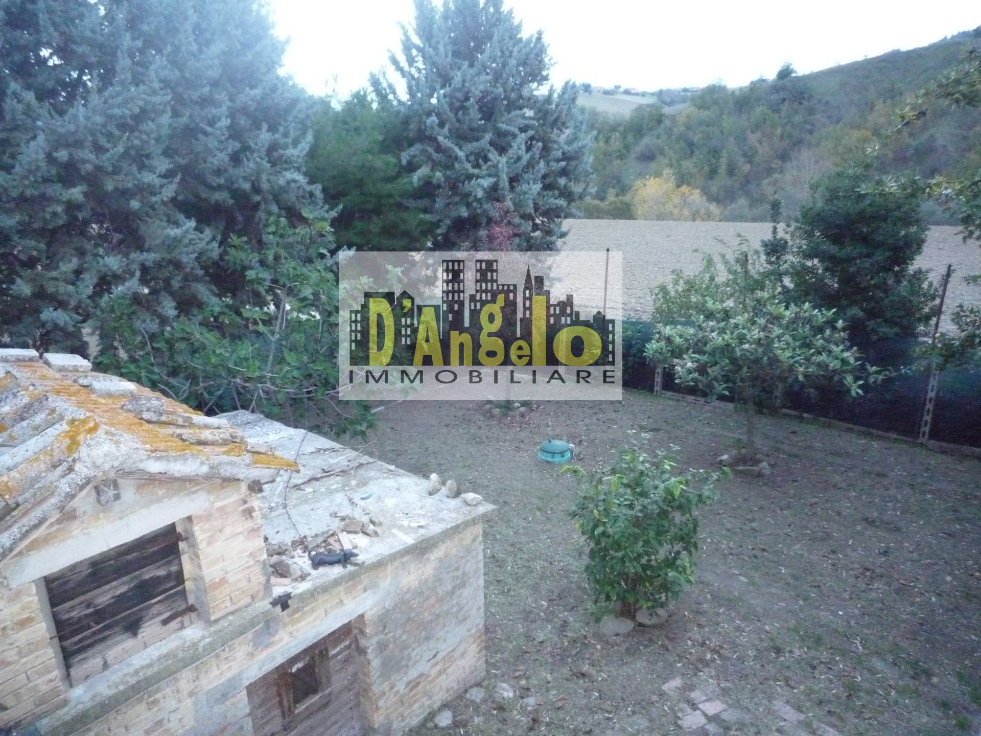 immagine annuncio 11 di 13