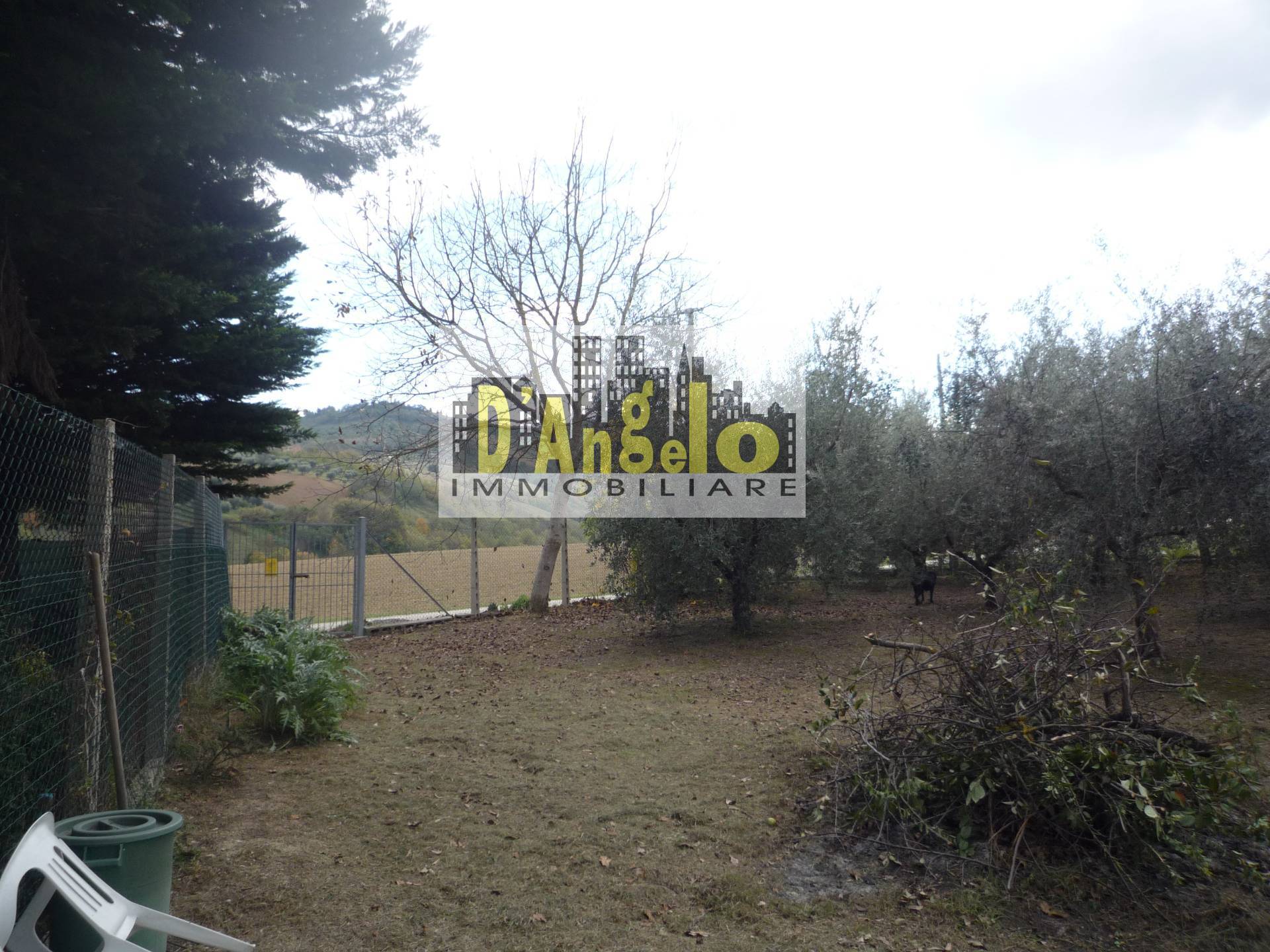 immagine annuncio 12 di 13