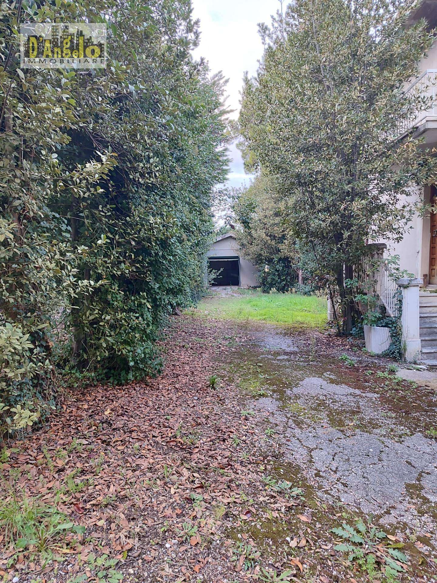  - foto 41