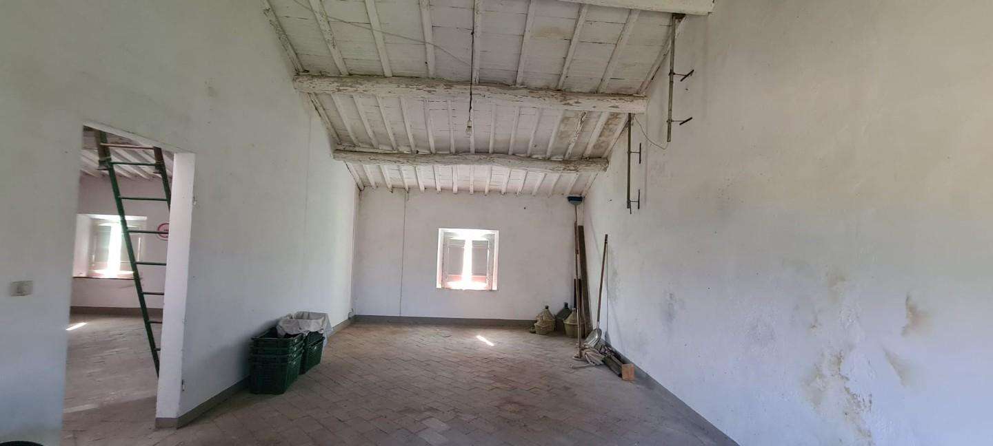  - foto 14