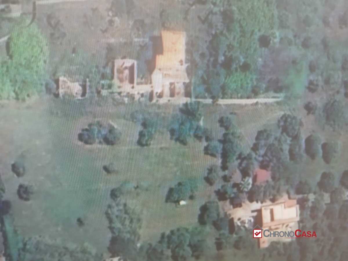  - foto 6