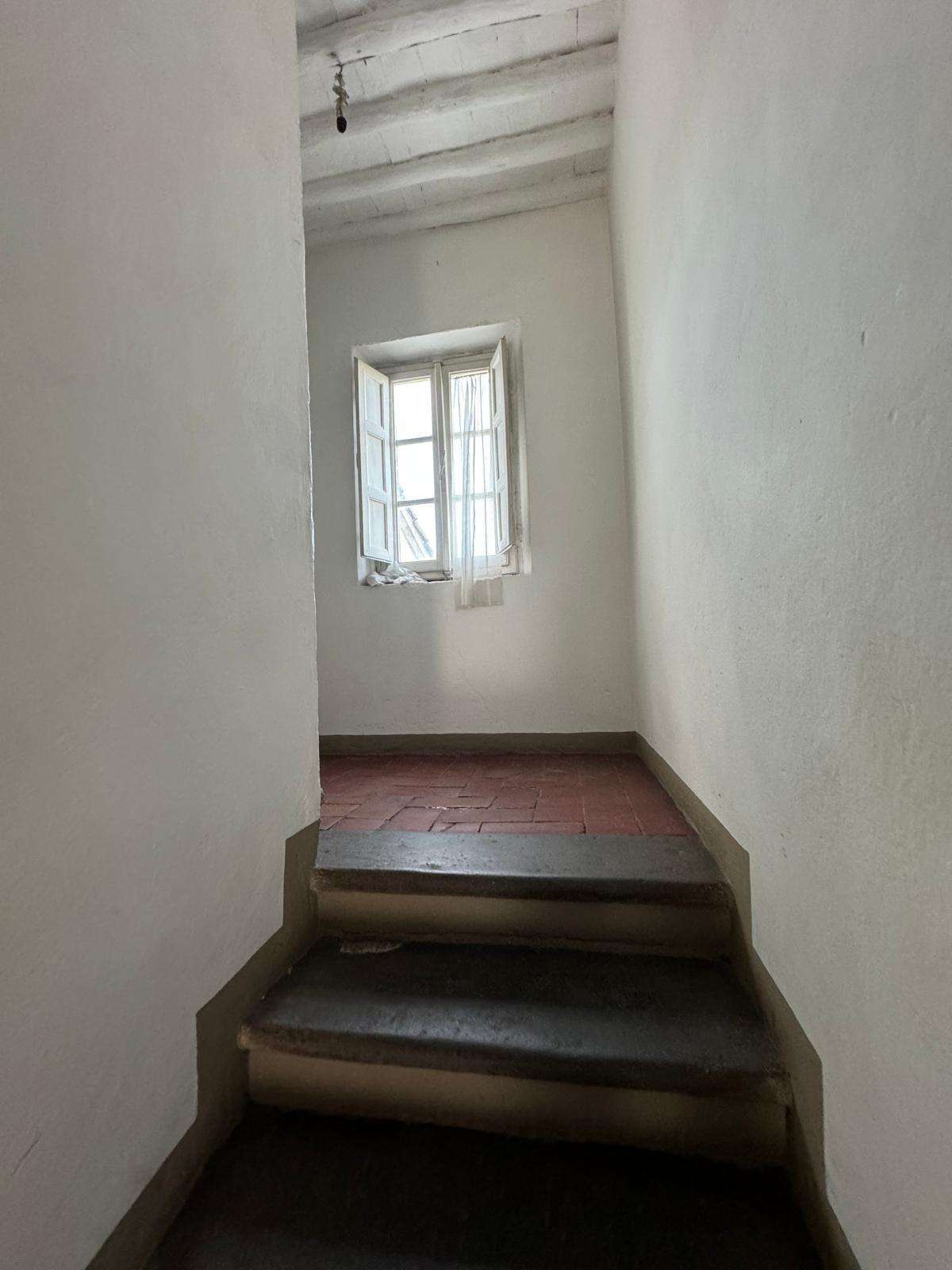  - foto 20