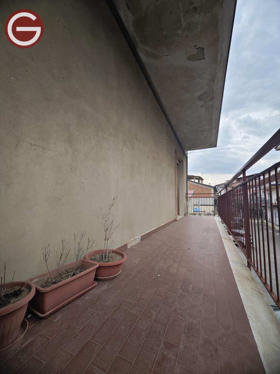 immagine annuncio 3 di 14