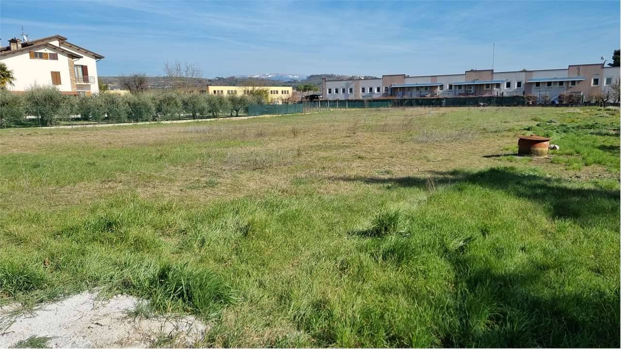 immagine annuncio 3 di 4