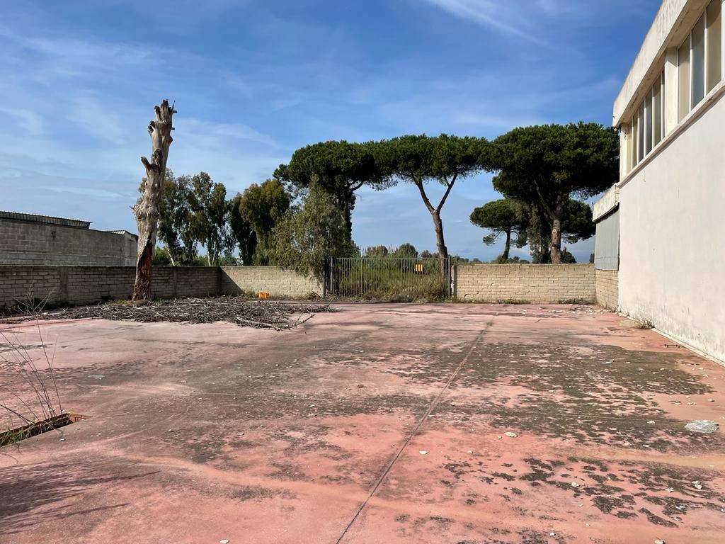 immagine annuncio 3 di 10