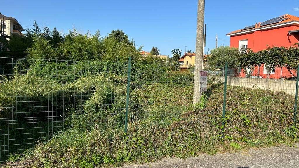 immagine annuncio 2 di 10
