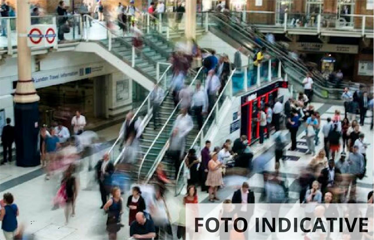 immagine annuncio 1 di 10