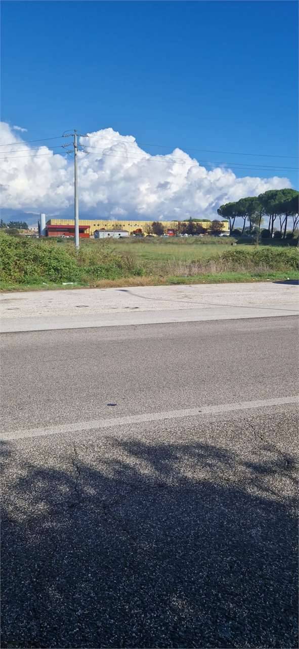 immagine annuncio 6 di 7