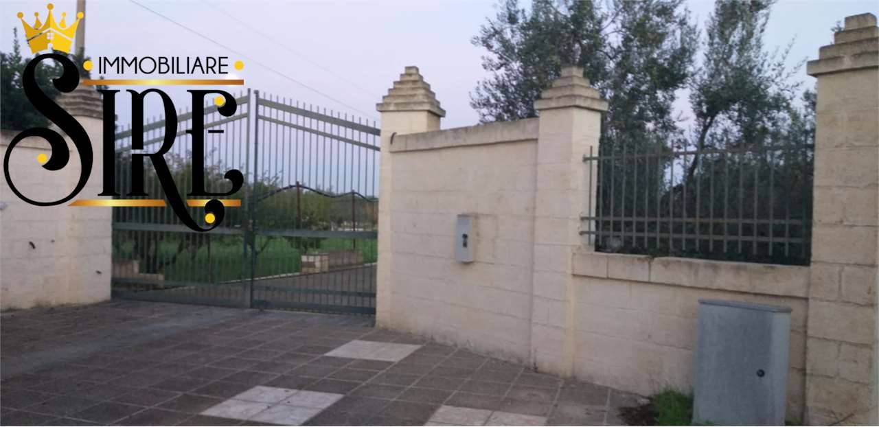 immagine annuncio 3 di 7