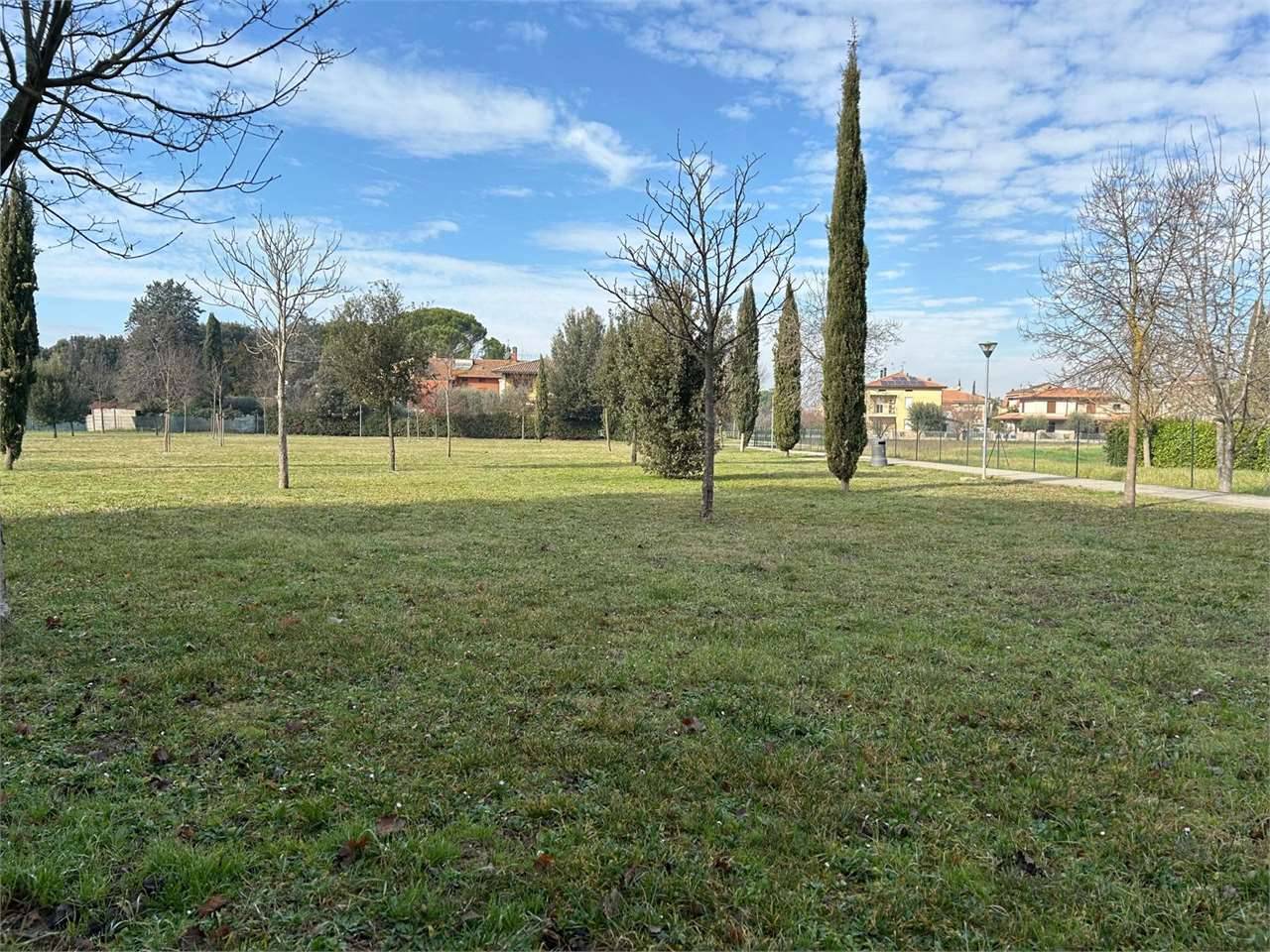 immagine annuncio 2 di 6
