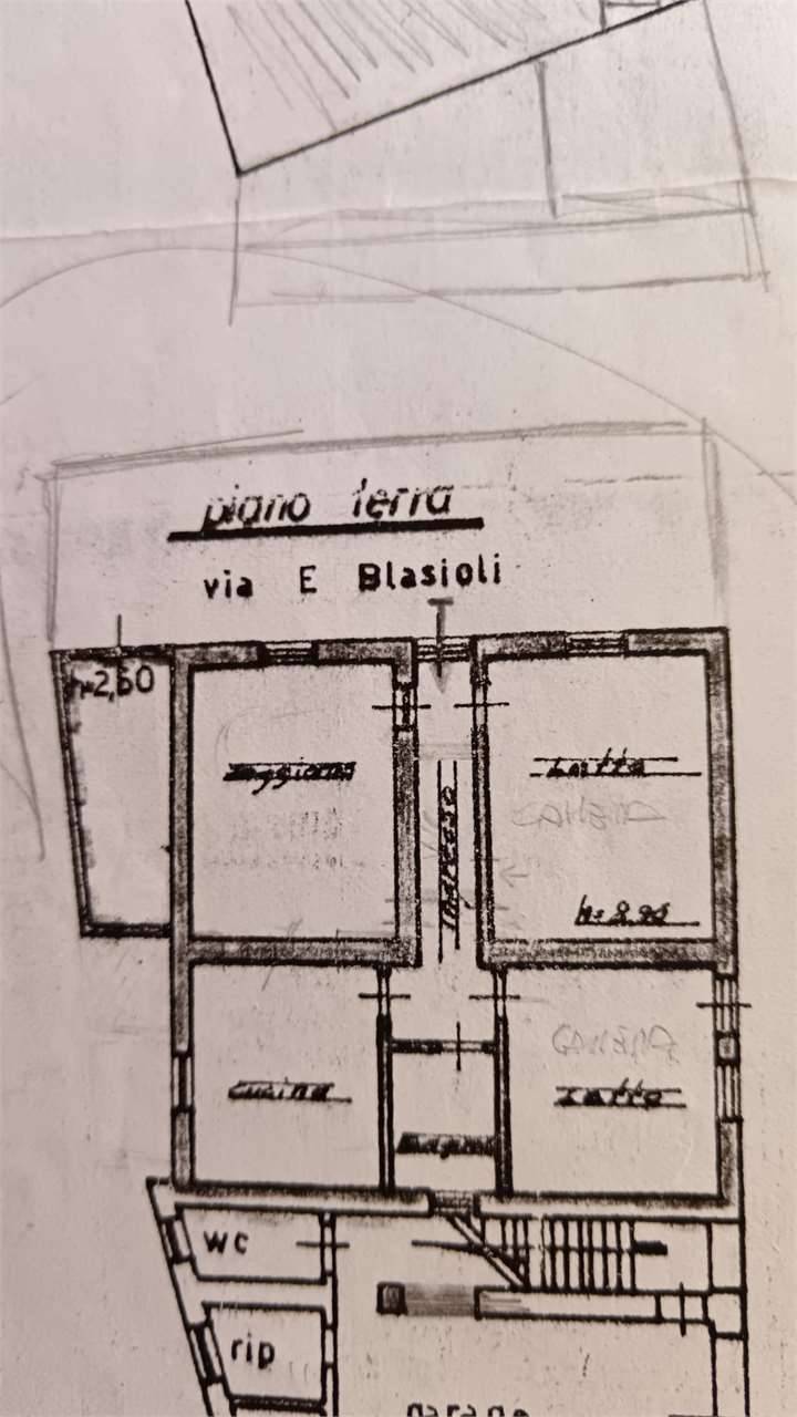 immagine annuncio 4 di 7