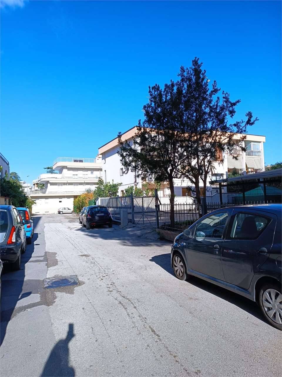 immagine annuncio 2 di 8