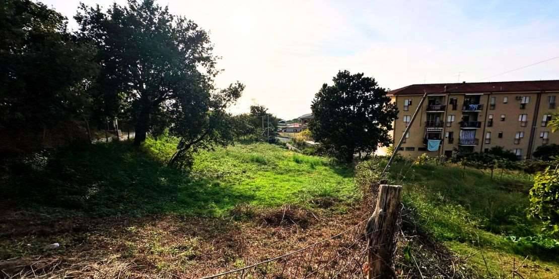 immagine annuncio 3 di 7