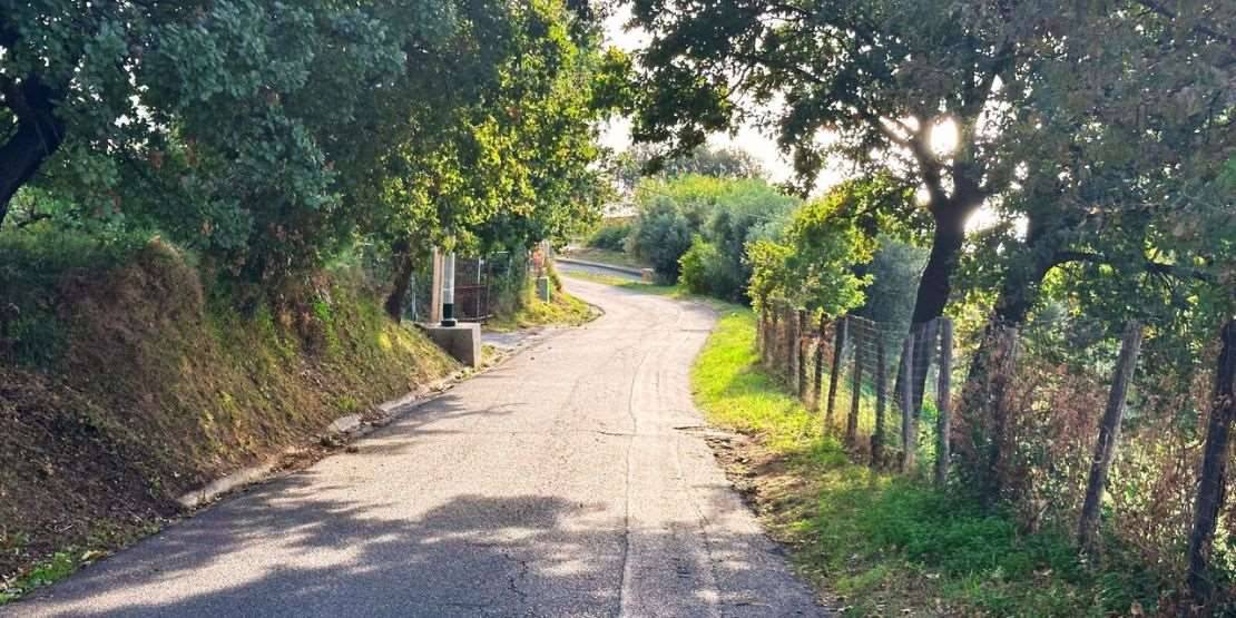 immagine annuncio 4 di 7