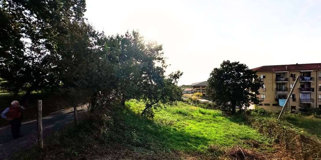 immagine annuncio 6 di 7