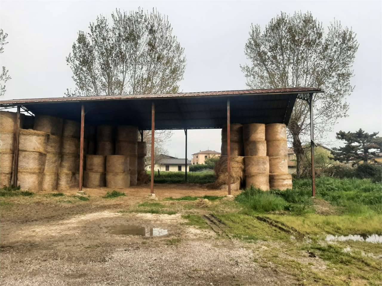 immagine annuncio 3 di 8