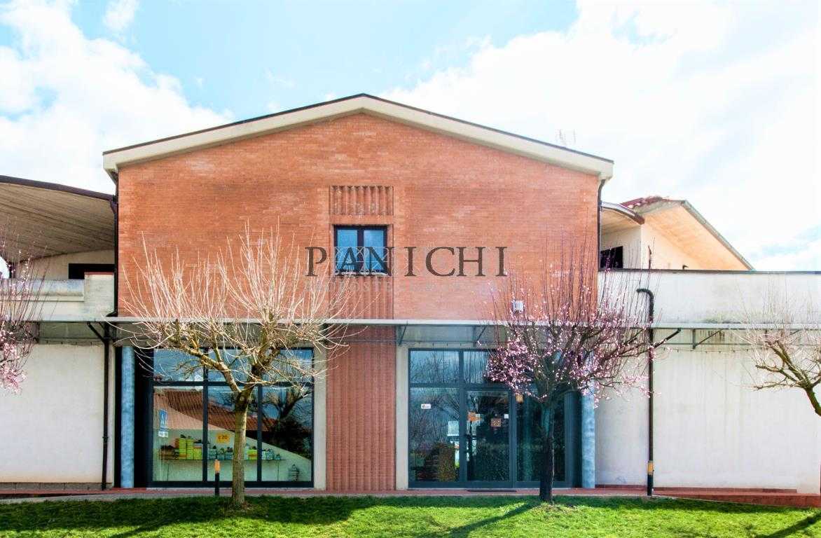 Negozio, Asciano