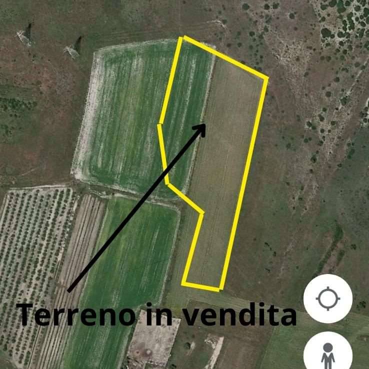 immagine annuncio 1 di 2