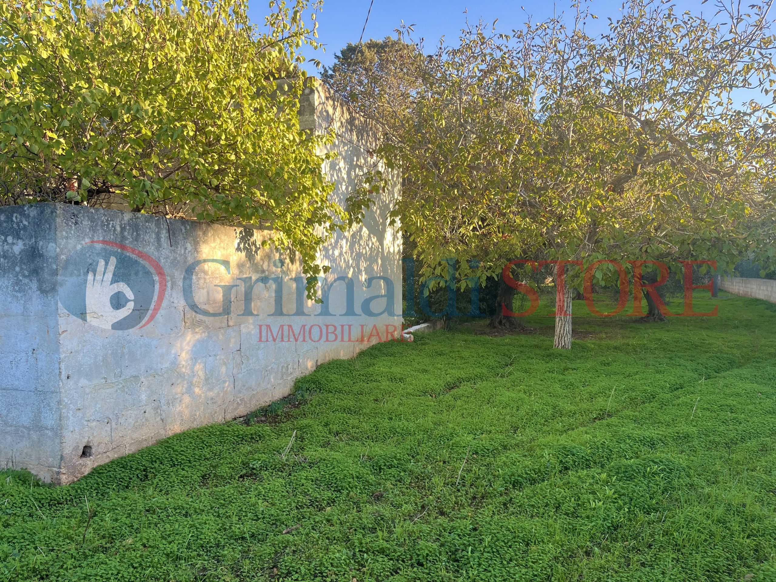  - foto 11