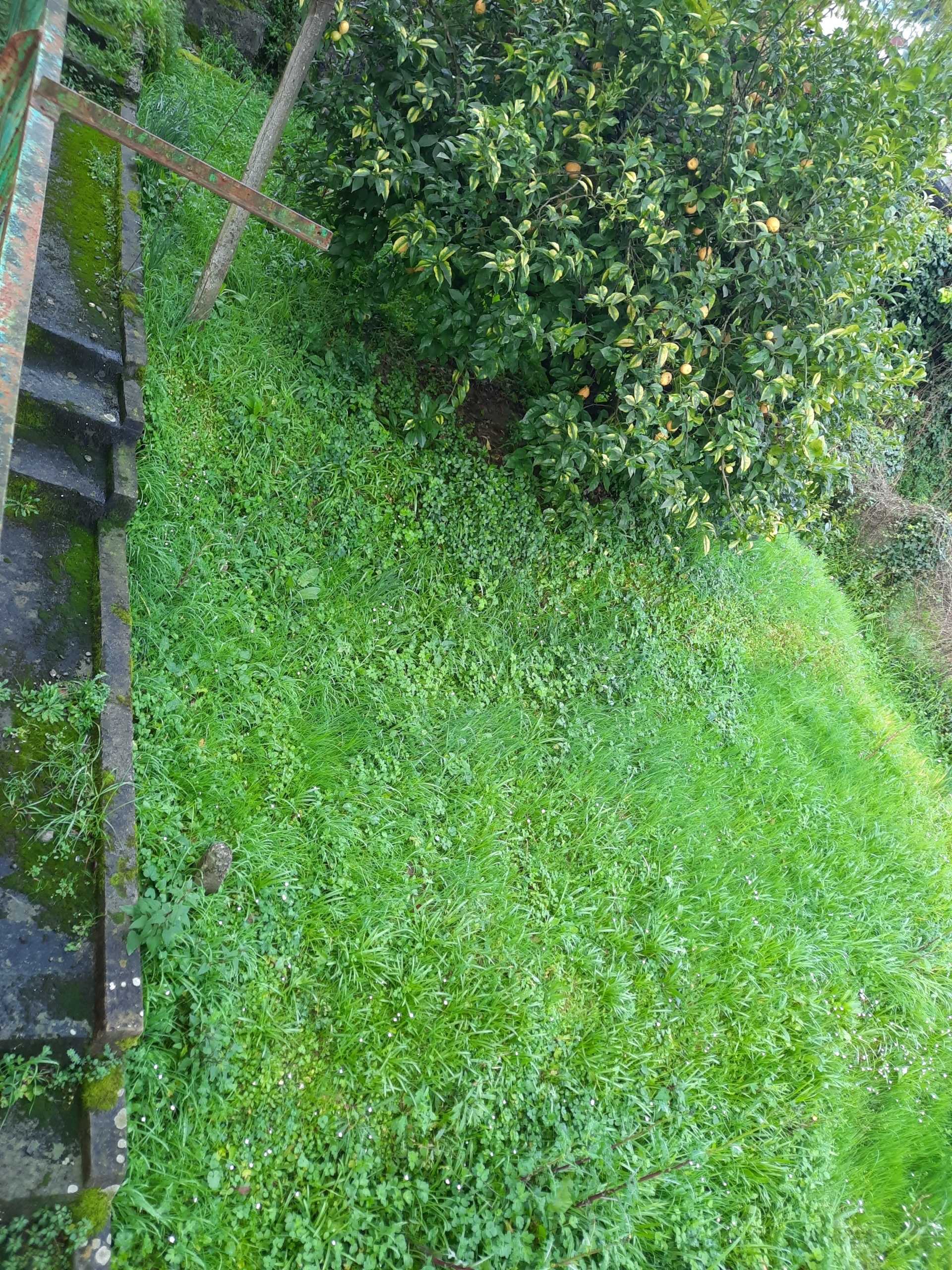  - foto 7