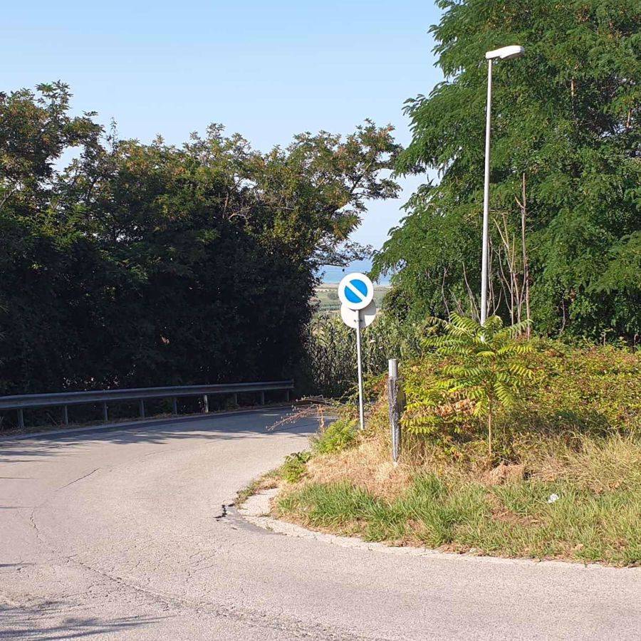 immagine annuncio 3 di 6