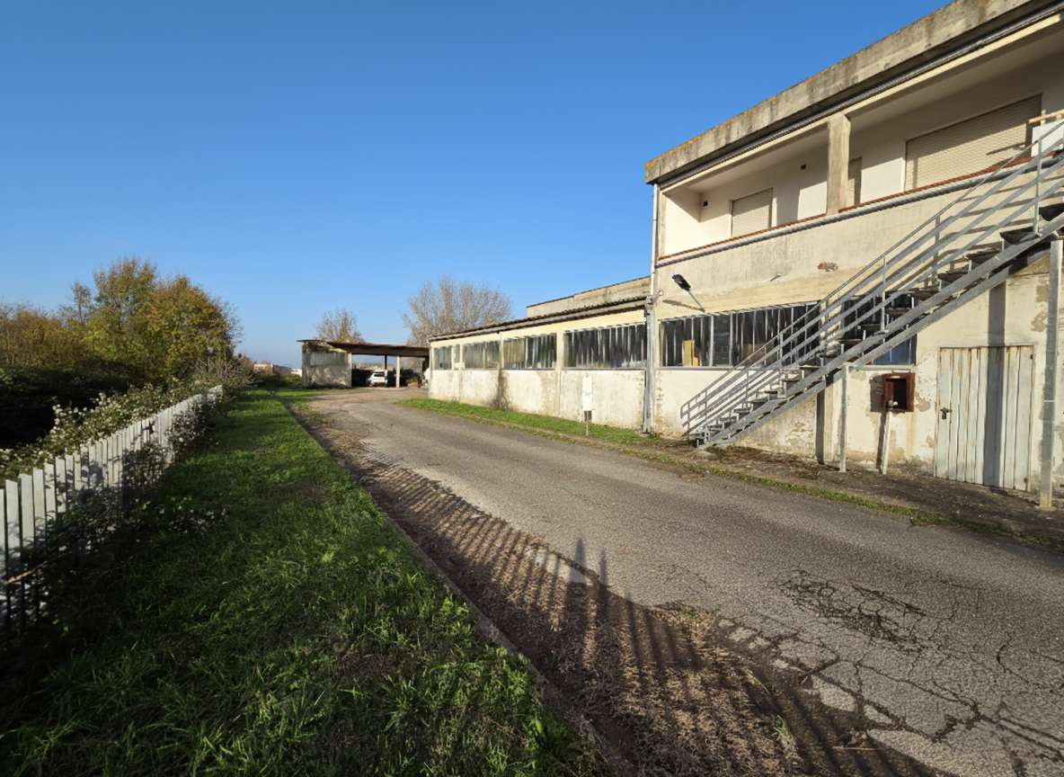  - foto 4