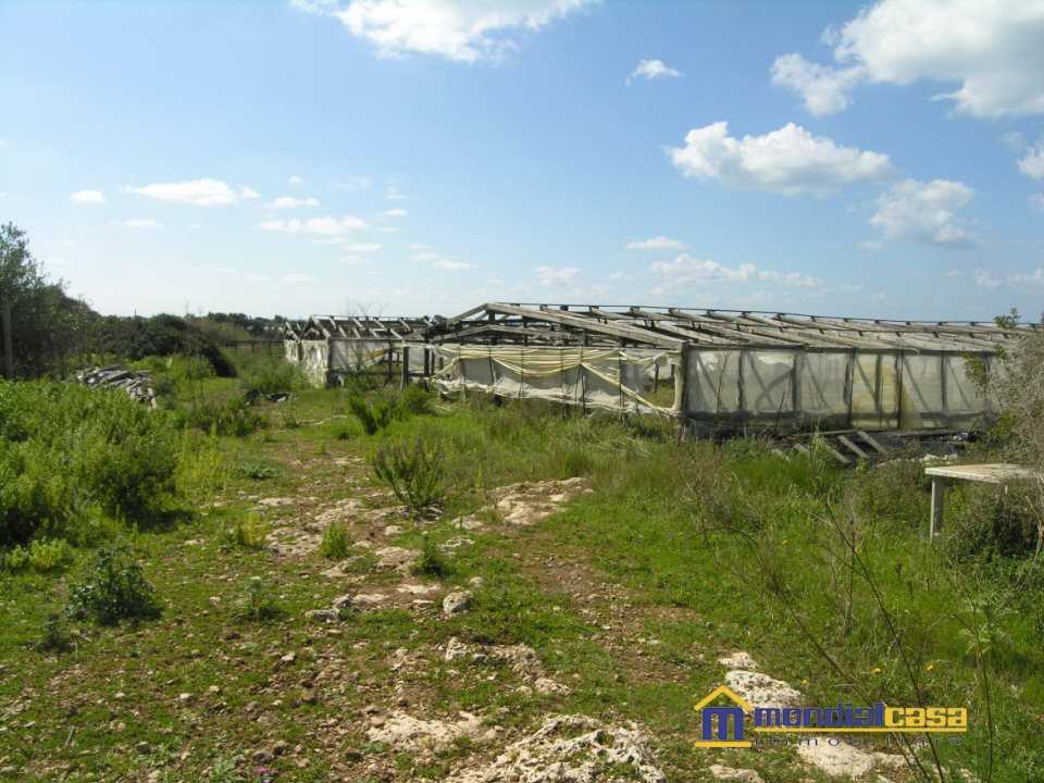  - foto 3