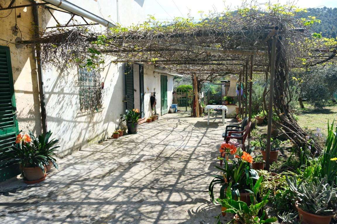  - foto 5